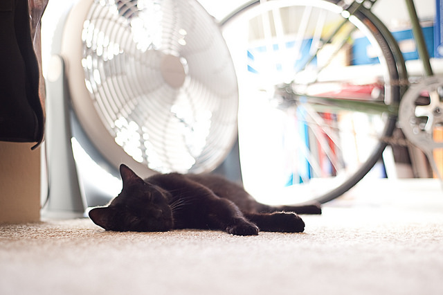 27427499981_57c65e961d_z